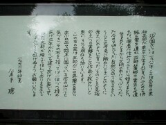 s010728_152208.jpg