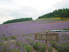s010728_164427.jpg