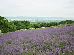 s010728_164621.jpg