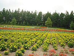 s010728_165056.jpg